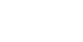 Logo NPA